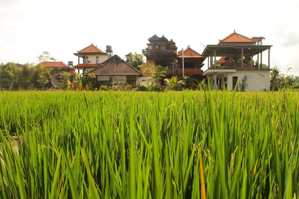 Cenik House Ubud Exteriér fotografie